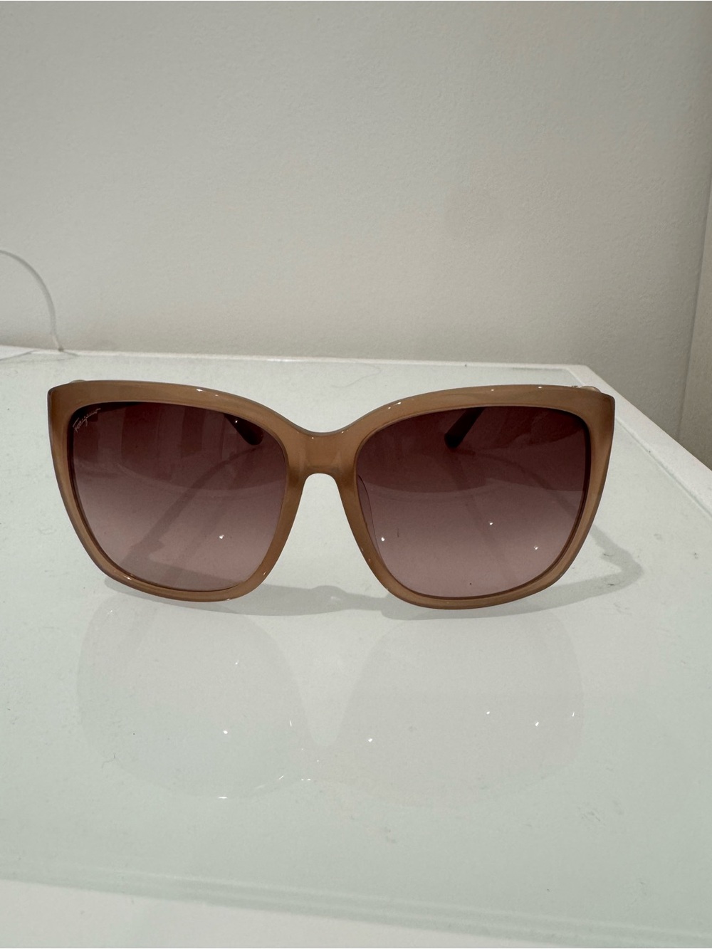 Salvatore Ferragamo Women's Oversized Sunglasses - Brown Gradient